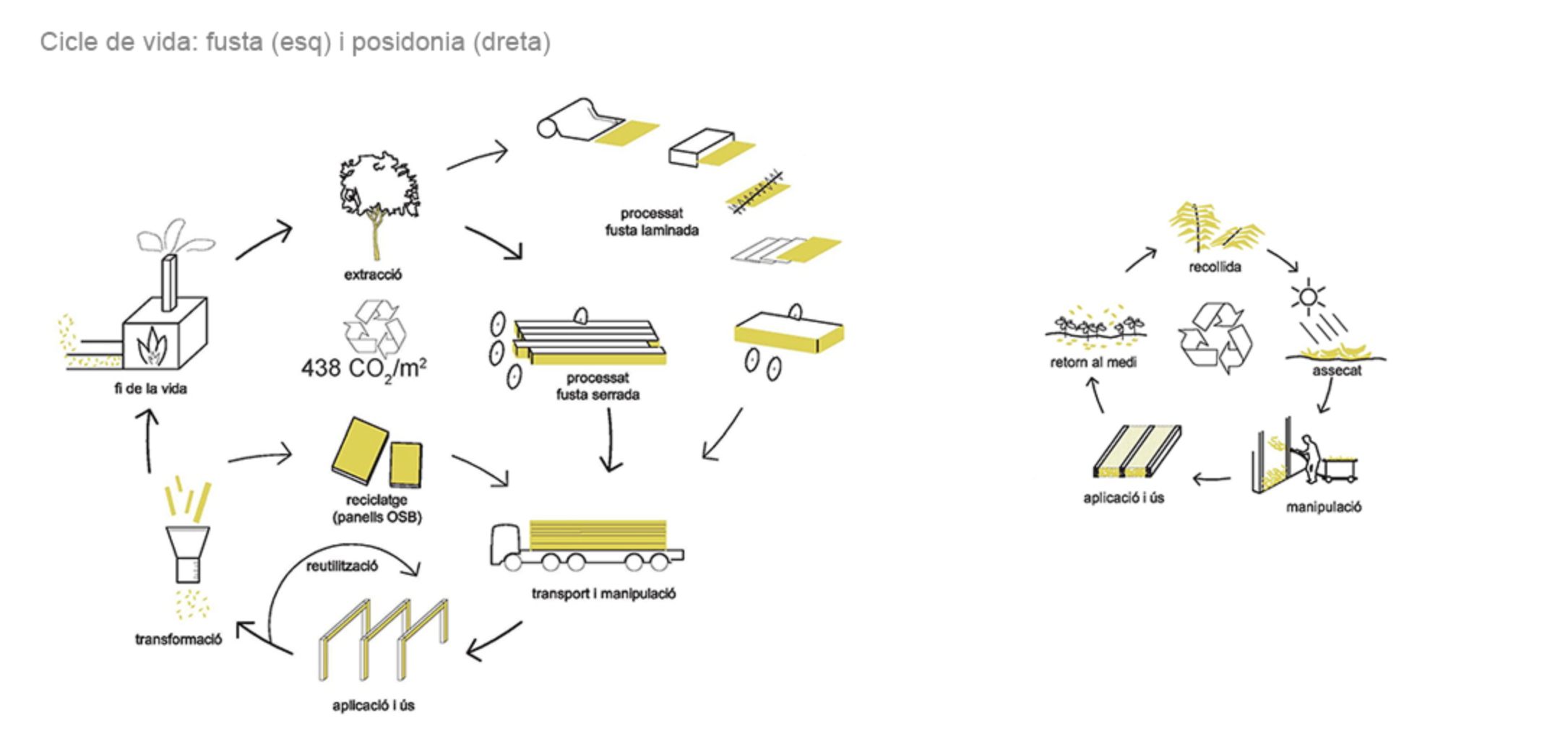 Esquema de projecte Habitatges a Eivissa