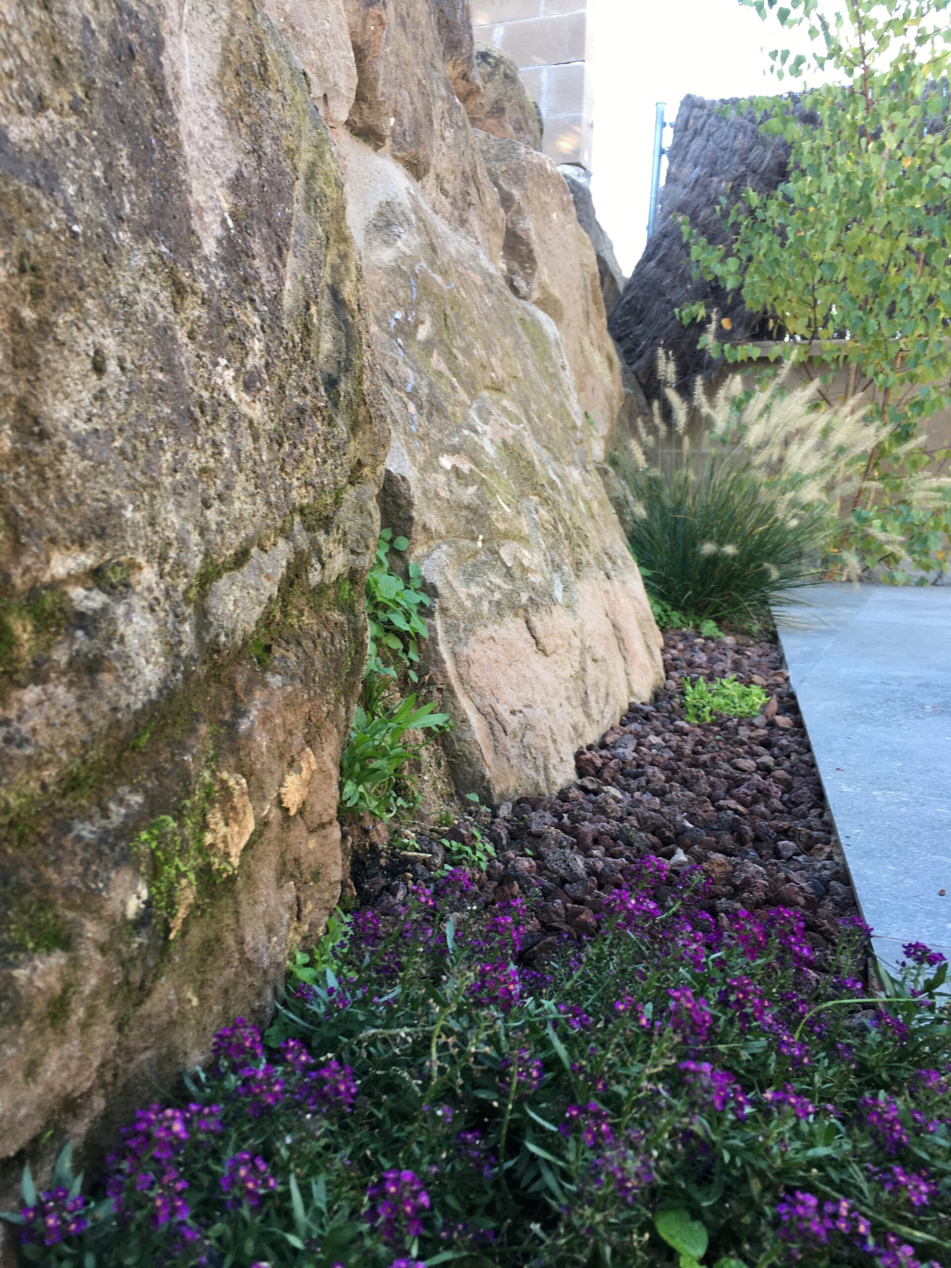 Projecte Jardí a Navàs