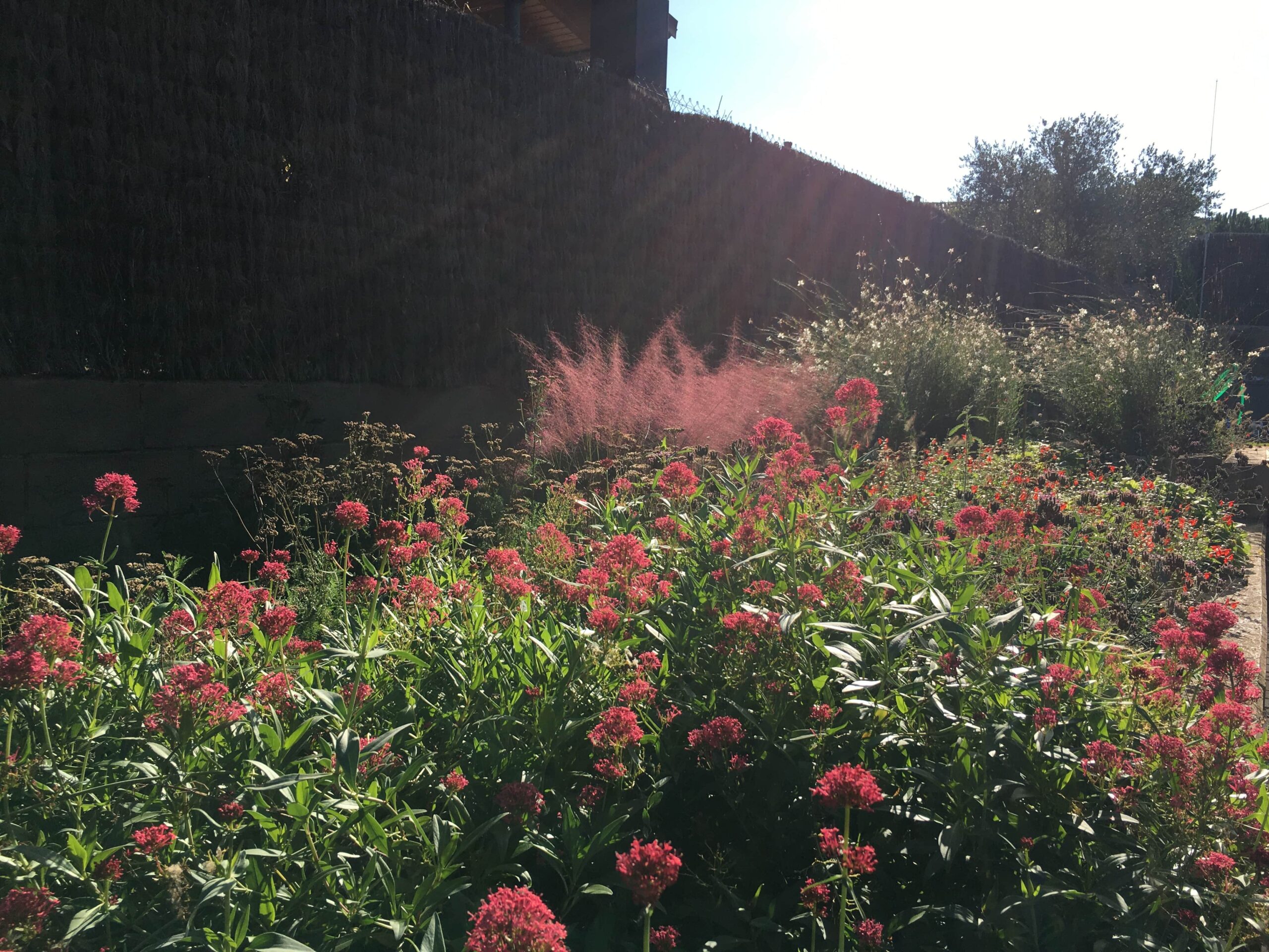 Jardí a Navàs