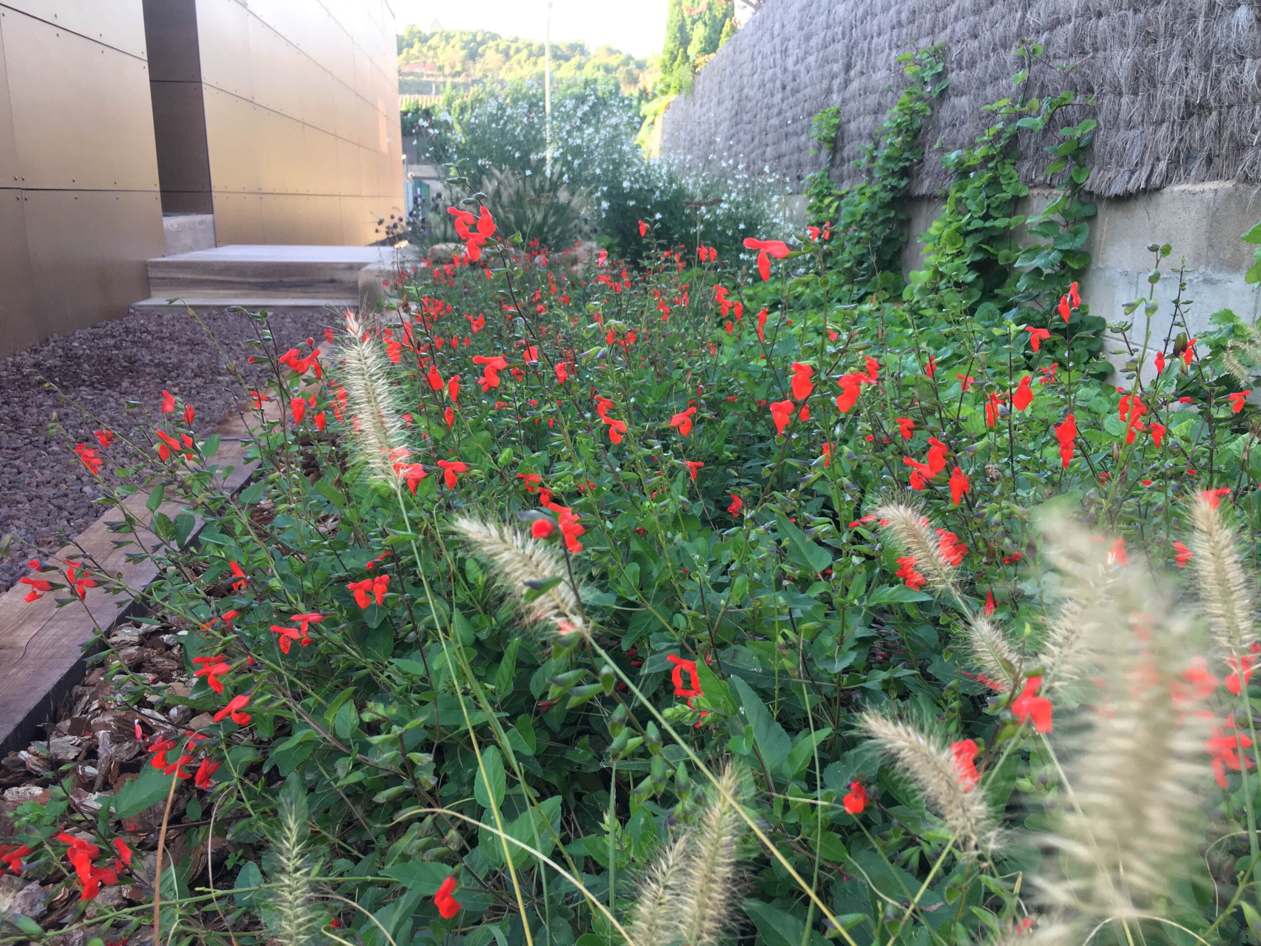 Jardí a Navàs