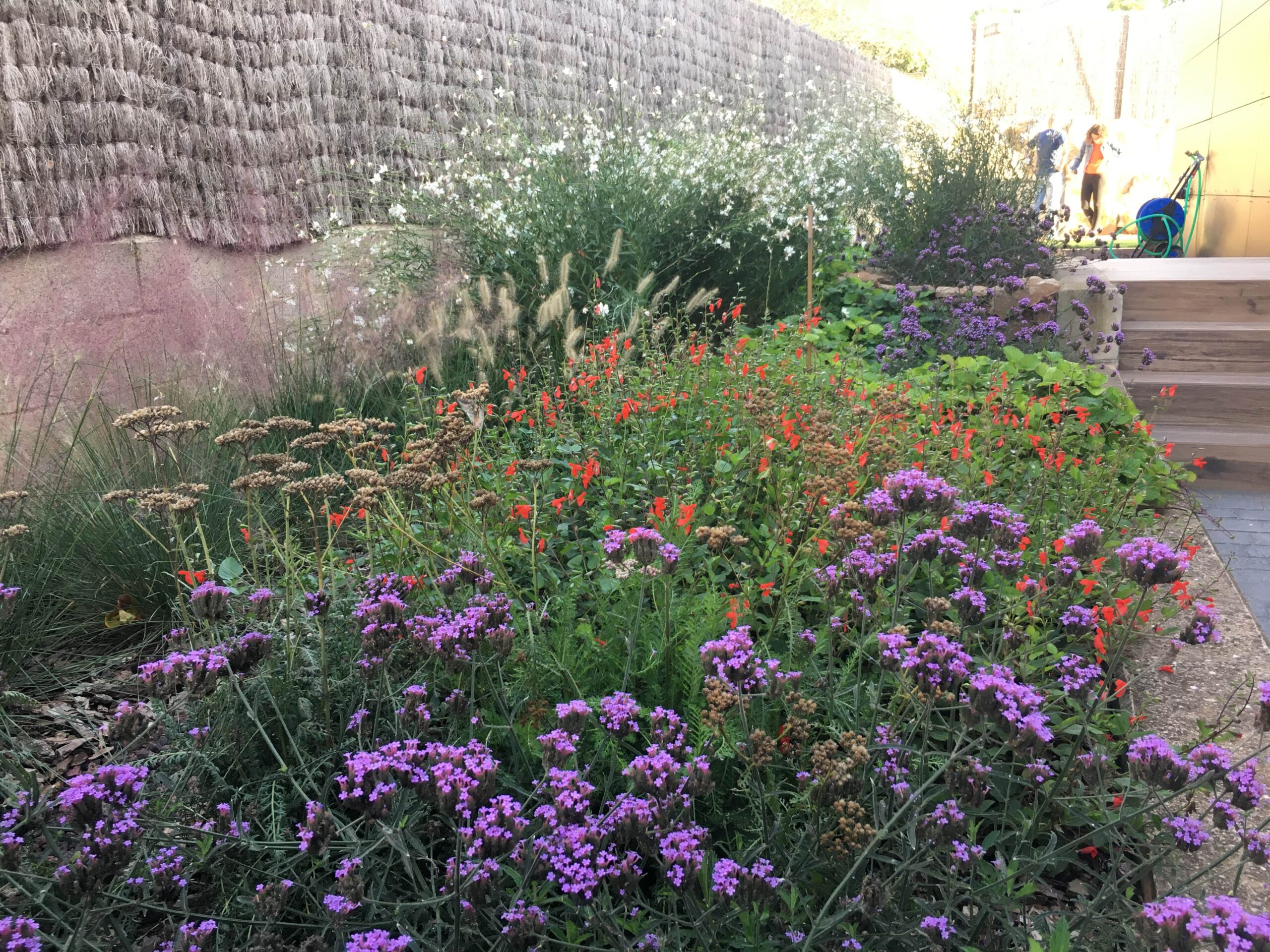 Jardí a Navàs
